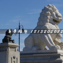石獅子，漢白玉獅子雕塑