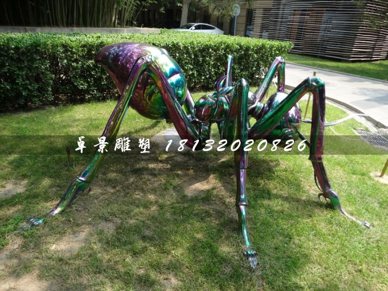 不銹鋼蜘蛛雕塑，公園動(dòng)物雕塑