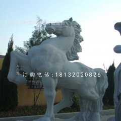 石雕馬，廣場(chǎng)動(dòng)物石雕